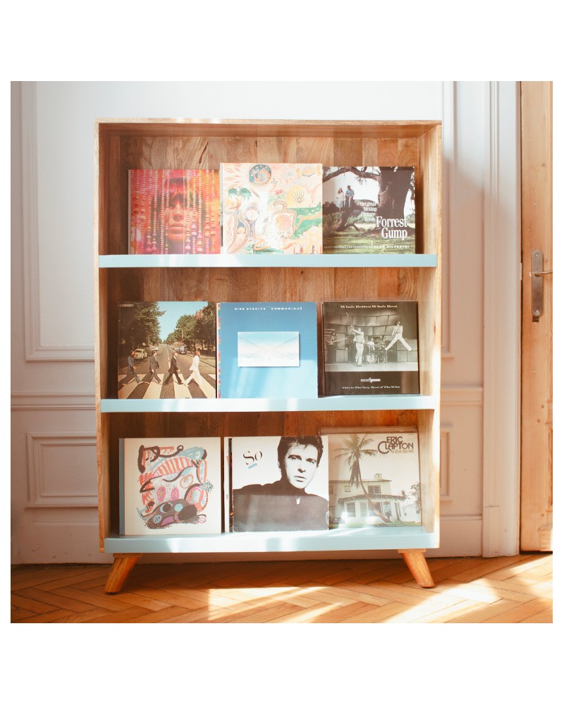 Meuble disques vinyles